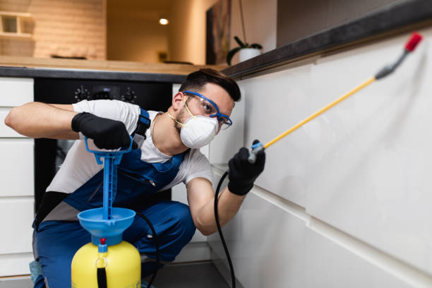 Best Flea Control Services  in Lmyra, PA