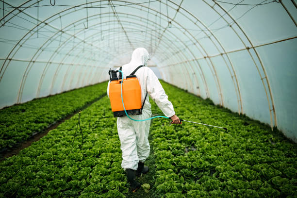 Best Affordable Pest Control Services  in Lmyra, PA