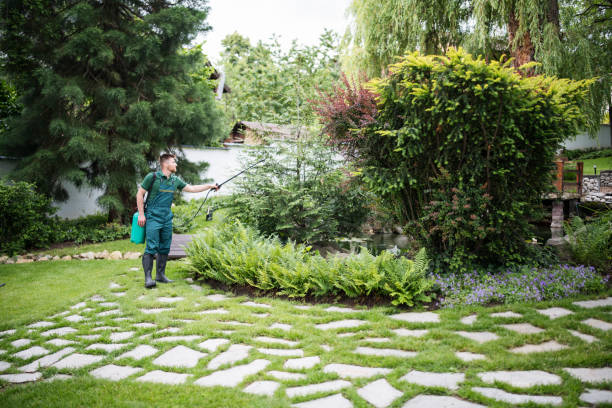 Best Mosquito Control Services  in Lmyra, PA