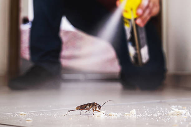 Best Exterminator Services  in Lmyra, PA